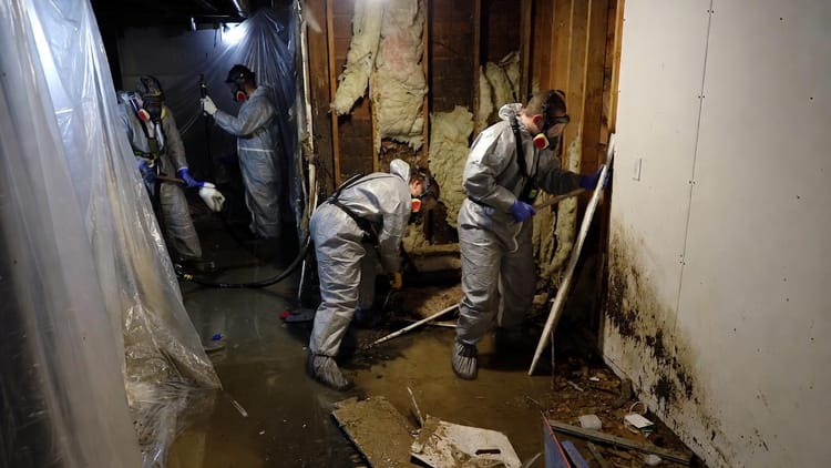 The Category 3 Warning: Why 'Black Water' Damage Requires Aggressive Remediation and Replacement