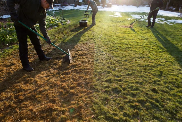 The Spring Lawn Wake-Up: Cleanup, Aeration, and First Fertilization
