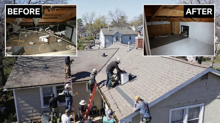 Humane and Effective Wildlife Exclusion: Safeguarding Your Home