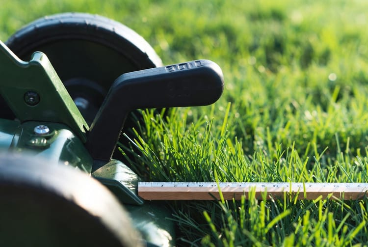The Mowing Height Chart: Seasonal Adjustments for Grass Types
