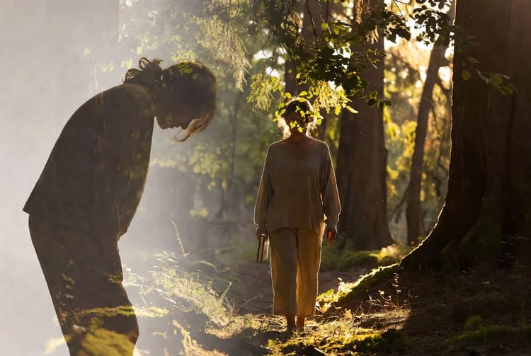 The Outdoor Therapy: Nature-Based Healing in Treatment Programs
