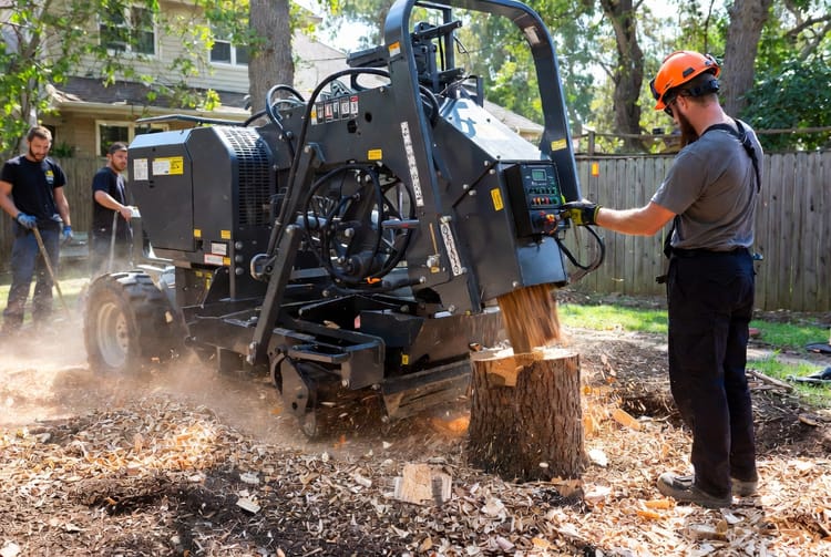 The Tree Stump Grinding Depth: How Deep Should the Grinder Go?