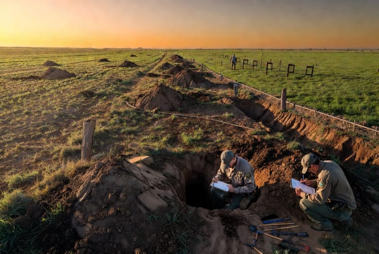 The Ground Squirrel Colony: Managing Large Populations on Rural Properties