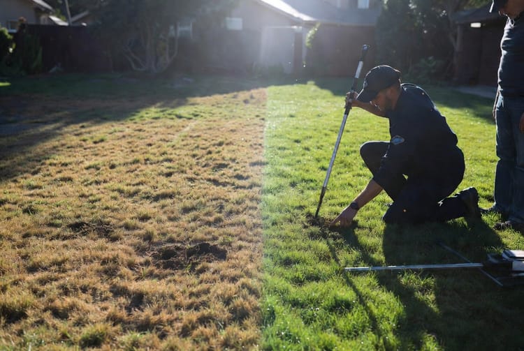 The Spring Dead Spot: Winter Disease on Warm-Season Lawns