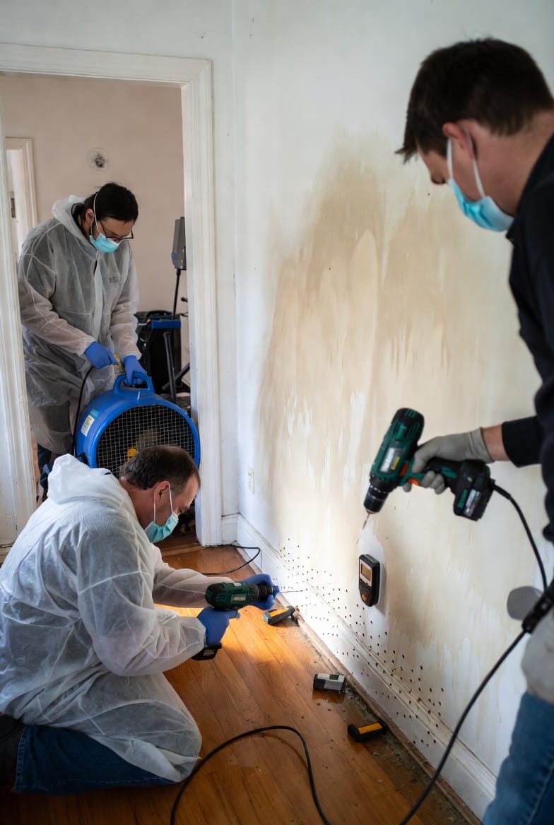 The Hidden Cavity Drying: Why Restorers Drill Holes in Walls to Dry Structural Cores