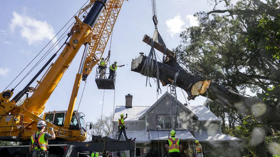 Crane-Assisted Tree Removal: The Engineering Marvel for Impossible Spaces and Hazardous Specimens
