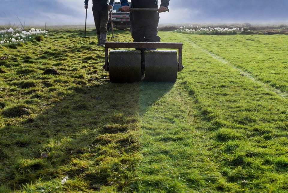 The Lawn Roller: When Rolling Is Beneficial and When It Harms Your Turf