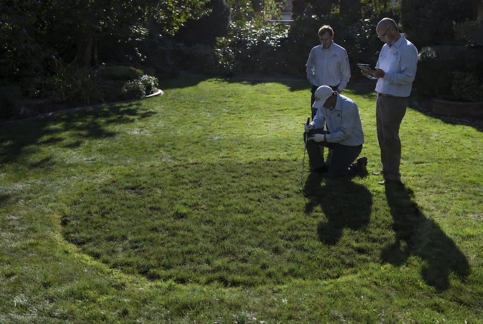 The Fairy Ring Fungus: Rings, Caused by Soil Fungi, and Management