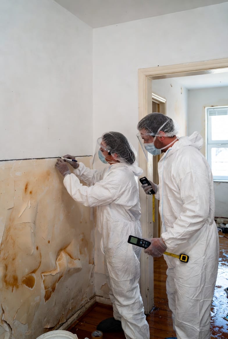The Drywall Swell: After Water Damage, When to Cut Higher